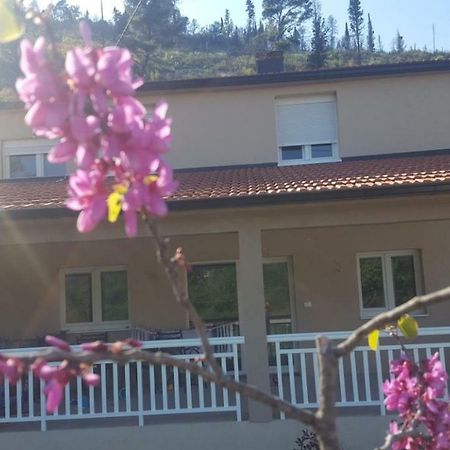 Apartment Marta 캐플례나 외부 사진